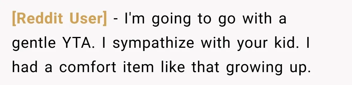[Reddit User] − I'm going to go with a gentle YTA. I sympathize with your kid. I had a comfort item like that growing up.