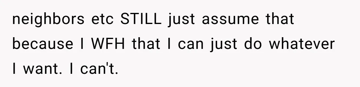 Man Drives To Friend’s House For Toddler’s Toy, Gets Accused Of “Barging In” neighbors etc STILL just assume that because I WFH that I can just do whatever I want. I can't.