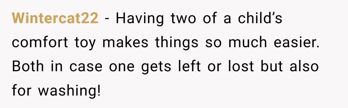 Man Drives To Friend’s House For Toddler’s Toy, Gets Accused Of “Barging In” Wintercat22 − Having two of a child’s comfort toy makes things so much easier. Both in case one gets left or lost but also for washing!
