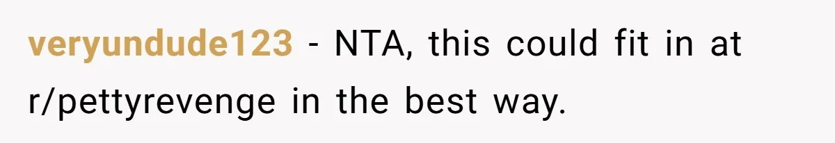 veryundude123 − NTA, this could fit in at r/pettyrevenge in the best way.