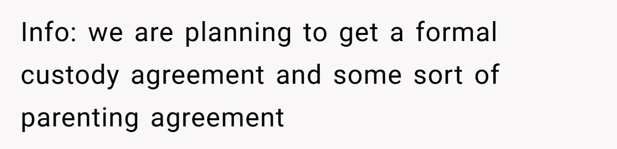 Info: we are planning to get a formal custody agreement and some sort of parenting agreement