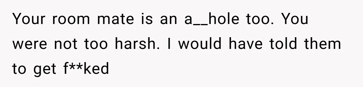 Your room mate is an a__hole too. You were not too harsh. I would have told them to get f**ked