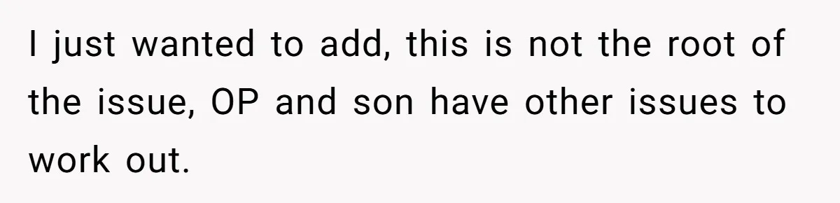 I just wanted to add, this is not the root of the issue, OP and son have other issues to work out.