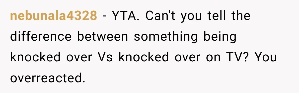 nebunala4328 − YTA. Can't you tell the difference between something being knocked over Vs knocked over on TV? You overreacted.