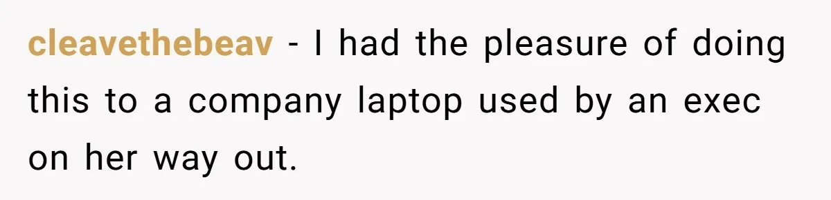 cleavethebeav − I had the pleasure of doing this to a company laptop used by an exec on her way out.