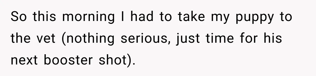 So this morning I had to take my puppy to the vet (nothing serious, just time for his next booster shot).