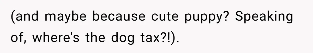 (and maybe because cute puppy? Speaking of, where's the dog tax?!).