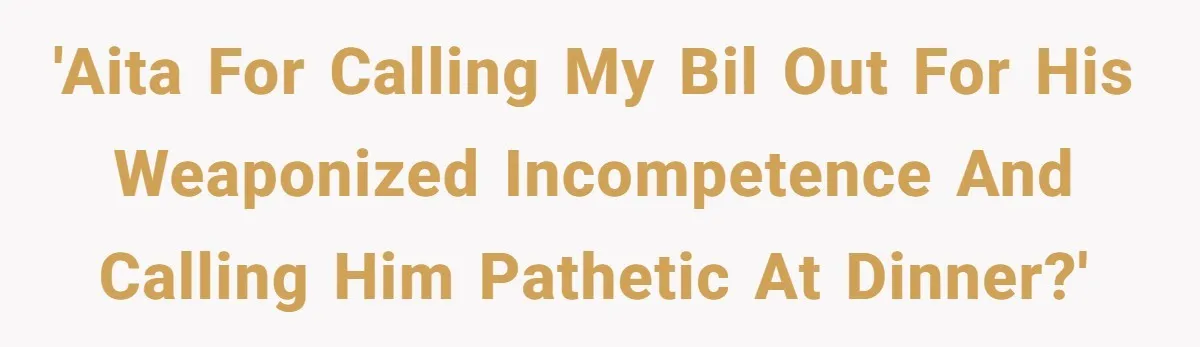 'AITA For Calling My BIL Out For His Weaponized Incompetence And Calling Him Pathetic At Dinner?'