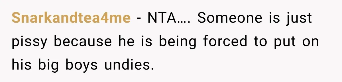 Snarkandtea4me − NTA…. Someone is just pissy because he is being forced to put on his big boys undies.