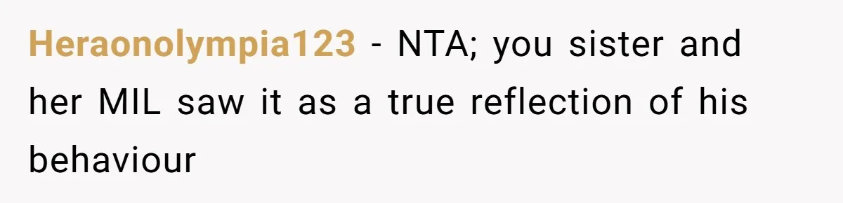 Heraonolympia123 − NTA; you sister and her MIL saw it as a true reflection of his behaviour