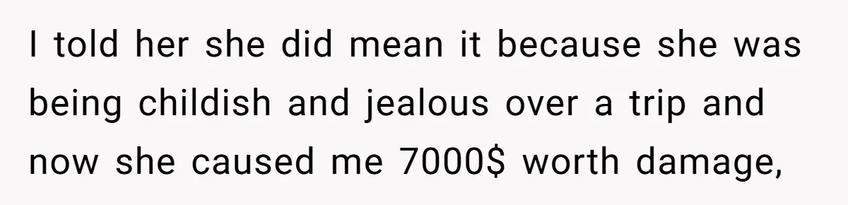 I told her she did mean it because she was being childish and jealous over a trip and now she caused me 7000$ worth damage,