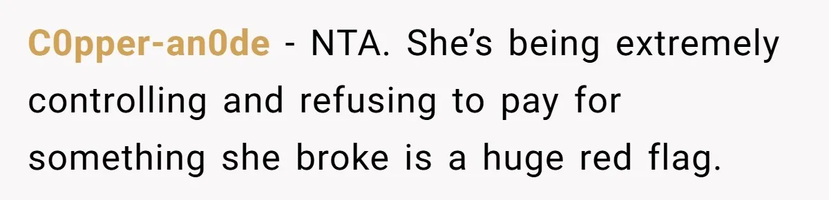 C0pper-an0de − NTA. She’s being extremely controlling and refusing to pay for something she broke is a huge red flag.