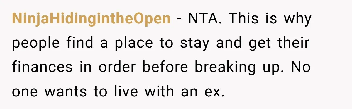 NinjaHidingintheOpen − NTA. This is why people find a place to stay and get their finances in order before breaking up. No one wants to live with an ex.
