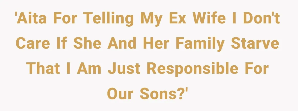 'AITA for telling my ex wife I don't care if she and her family starve that I am just responsible for our sons?'