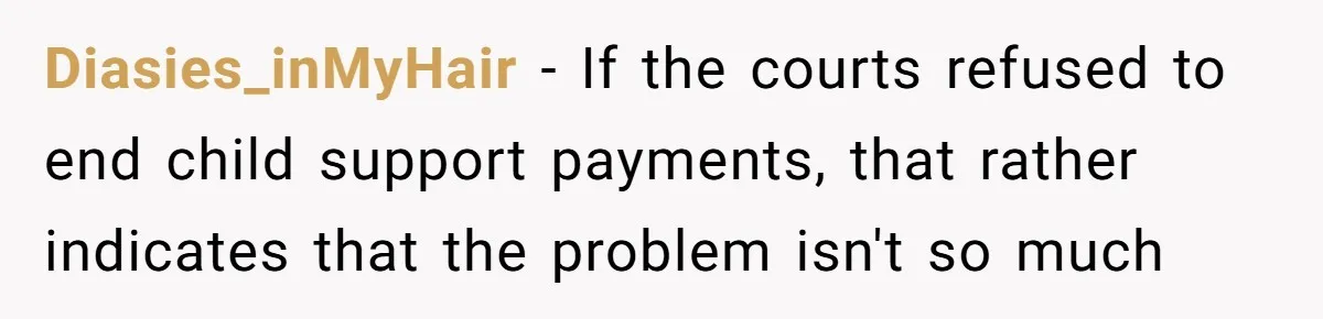 Diasies_inMyHair − If the courts refused to end child support payments, that rather indicates that the problem isn't so much