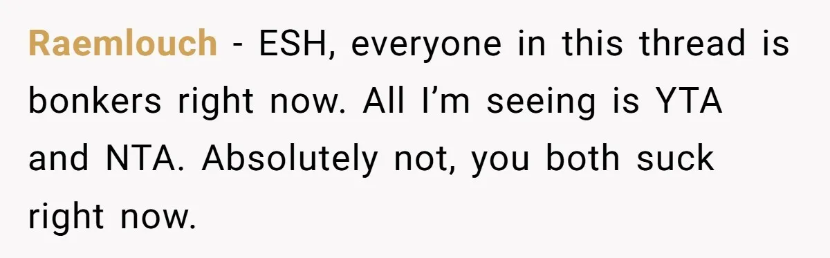 Raemlouch − ESH, everyone in this thread is bonkers right now. All I’m seeing is YTA and NTA. Absolutely not, you both suck right now.
