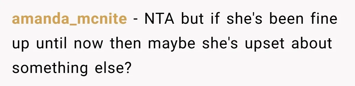 amanda_mcnite − NTA but if she's been fine up until now then maybe she's upset about something else?