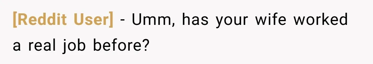 [Reddit User] − Umm, has your wife worked a real job before?
