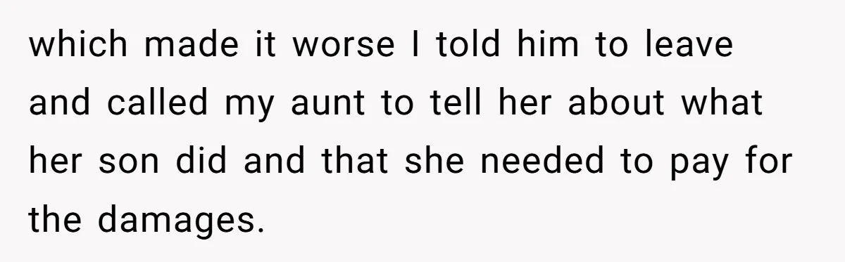 which made it worse I told him to leave and called my aunt to tell her about what her son did and that she needed to pay for the damages.