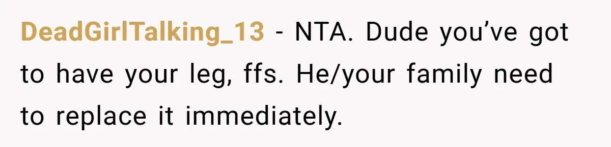 DeadGirlTalking_13 − NTA. Dude you’ve got to have your leg, ffs. He/your family need to replace it immediately.