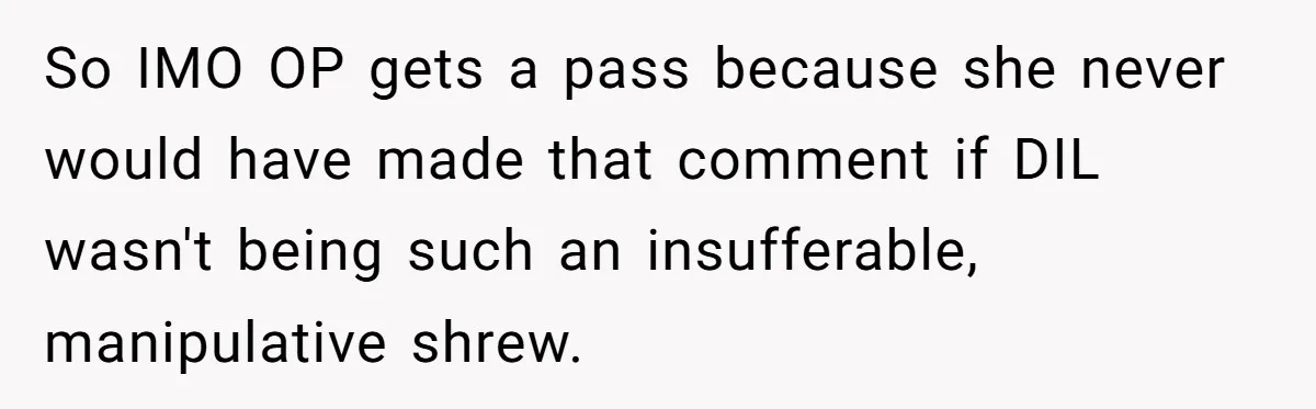 So IMO OP gets a pass because she never would have made that comment if DIL wasn't being such an insufferable, manipulative shrew.