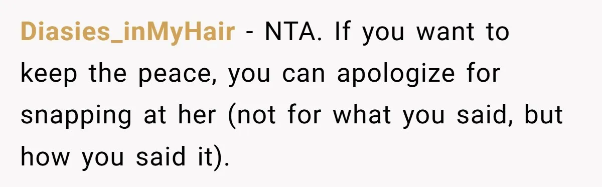 Diasies_inMyHair − NTA. If you want to keep the peace, you can apologize for snapping at her (not for what you said, but how you said it).