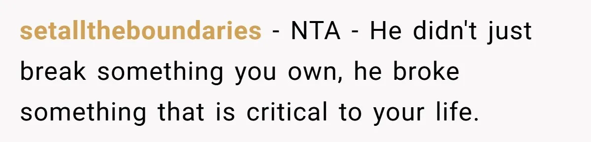 setalltheboundaries − NTA - He didn't just break something you own, he broke something that is critical to your life.