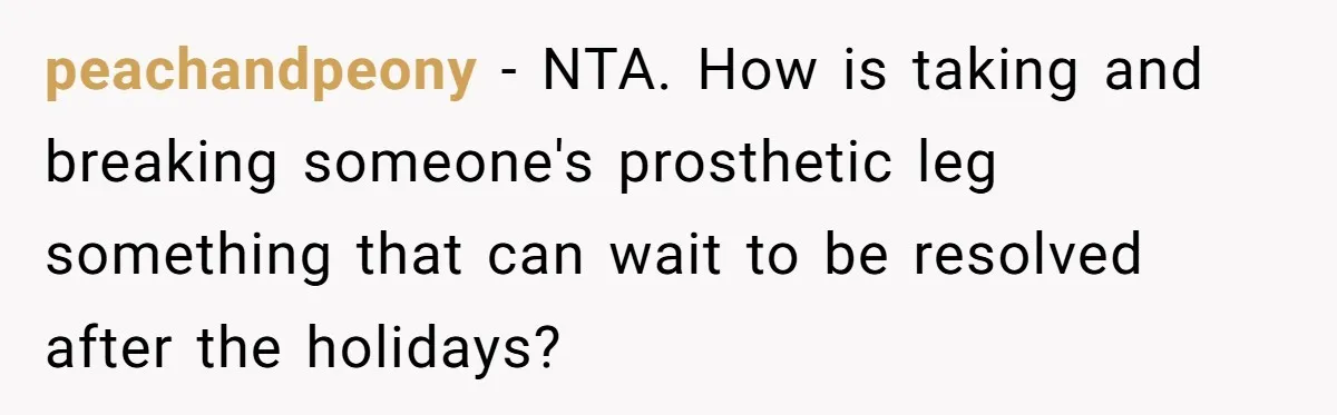 peachandpeony − NTA. How is taking and breaking someone's prosthetic leg something that can wait to be resolved after the holidays?
