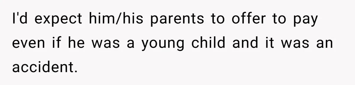 I'd expect him/his parents to offer to pay even if he was a young child and it was an accident.