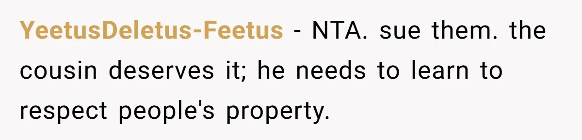YeetusDeletus-Feetus − NTA. sue them. the cousin deserves it; he needs to learn to respect people's property.