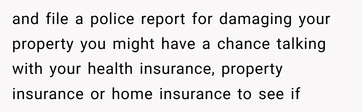 and file a police report for damaging your property you might have a chance talking with your health insurance, property insurance or home insurance to see if
