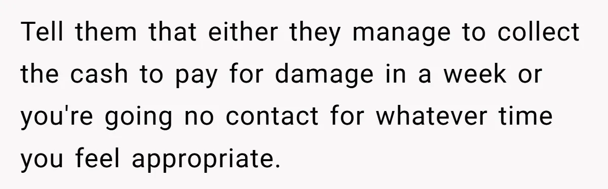 Tell them that either they manage to collect the cash to pay for damage in a week or you're going no contact for whatever time you feel appropriate.
