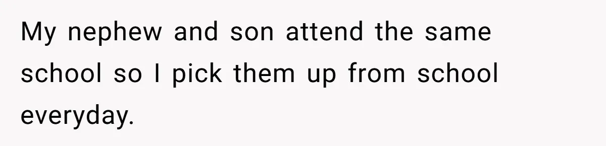 My nephew and son attend the same school so I pick them up from school everyday.