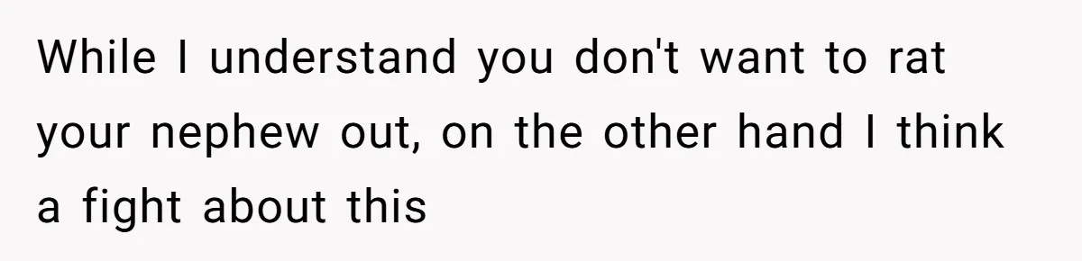 While I understand you don't want to rat your nephew out, on the other hand I think a fight about this