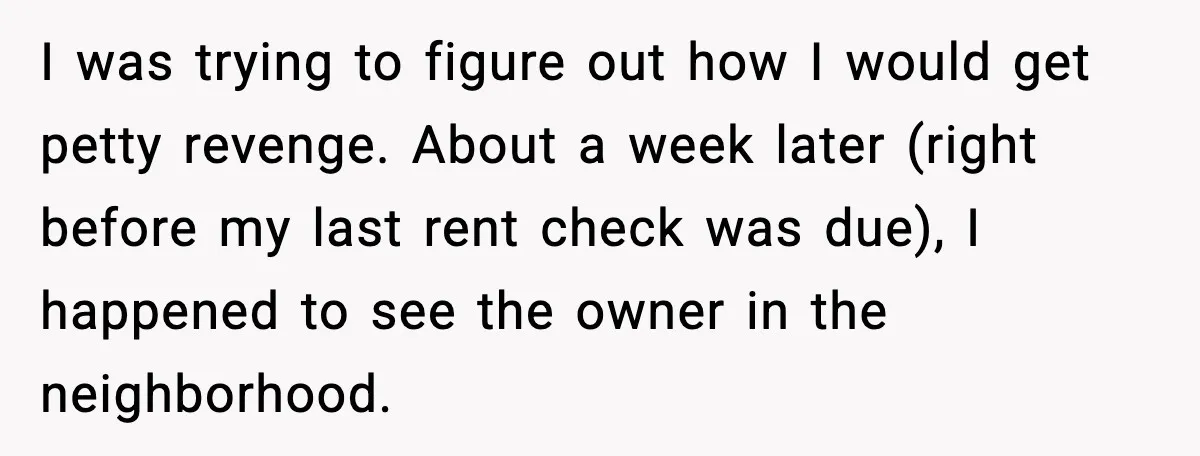 I was trying to figure out how I would get petty revenge. About a week later (right before my last rent check was due), I happened to see the owner...