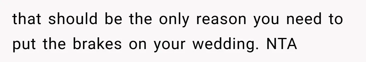 that should be the only reason you need to put the brakes on your wedding. NTA