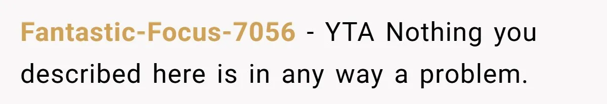 Fantastic-Focus-7056 − YTA Nothing you described here is in any way a problem.