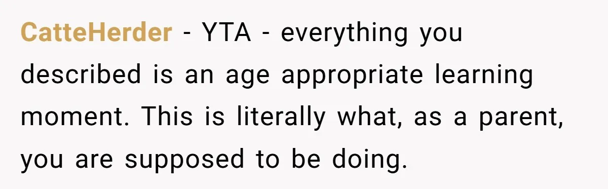 CatteHerder − YTA - everything you described is an age appropriate learning moment. This is literally what, as a parent, you are supposed to be doing.
