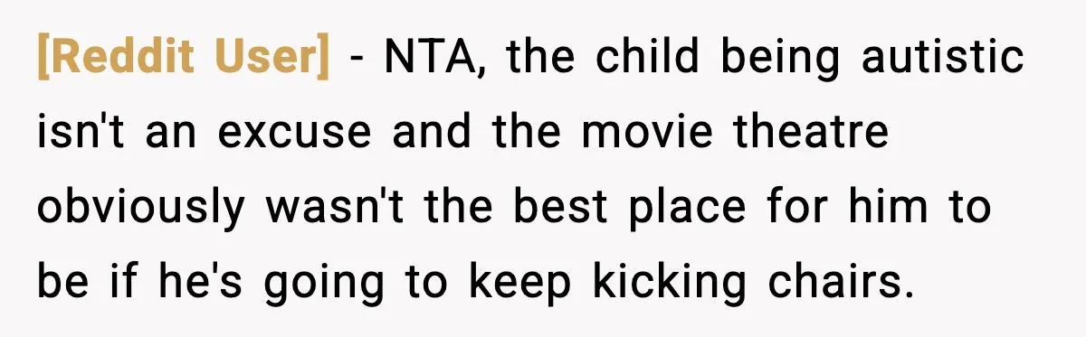[Reddit User] - NTA, the child being autistic isn't an excuse and the movie theatre obviously wasn't the best place for him to be if he's going to keep kicking...