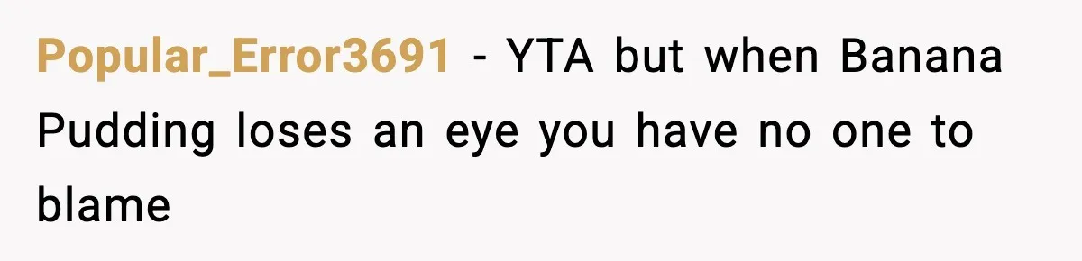 Popular_Error3691 − YTA but when Banana Pudding loses an eye you have no one to blame