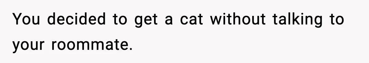 You decided to get a cat without talking to your roommate.