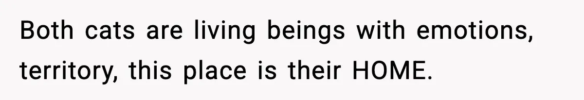 Both cats are living beings with emotions, territory, this place is their HOME.