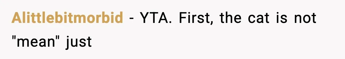 Alittlebitmorbid − YTA. First, the cat is not "mean" just