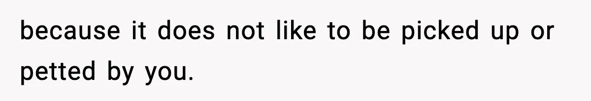 because it does not like to be picked up or petted by you.