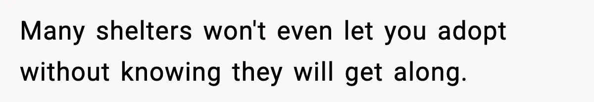 Many shelters won't even let you adopt without knowing they will get along.