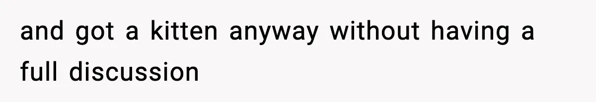 and got a kitten anyway without having a full discussion