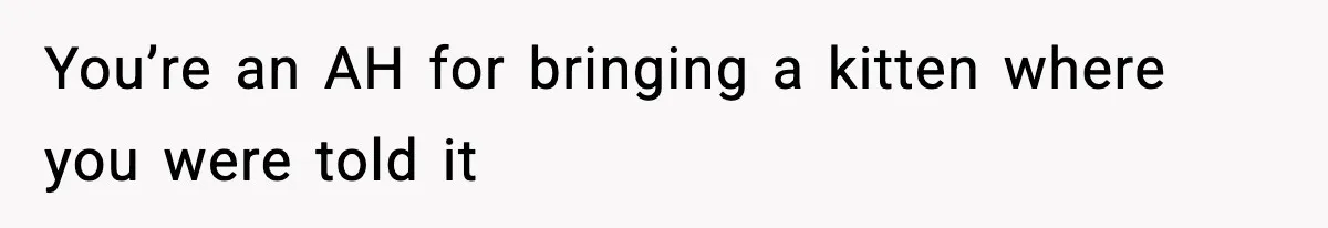 You’re an AH for bringing a kitten where you were told it