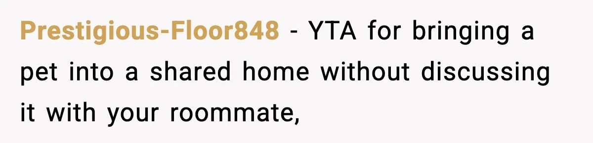 Prestigious-Floor848 − YTA for bringing a pet into a shared home without discussing it with your roommate,
