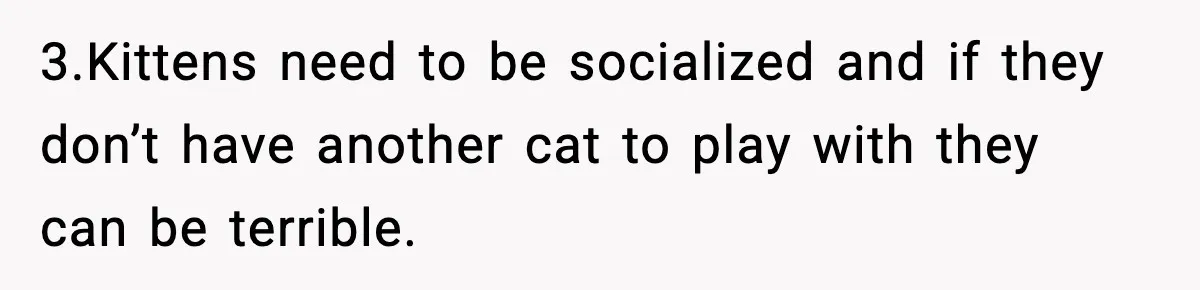 3.Kittens need to be socialized and if they don’t have another cat to play with they can be terrible.