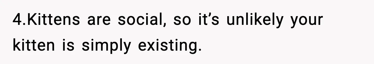4.Kittens are social, so it’s unlikely your kitten is simply existing.